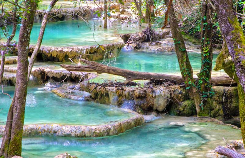 La source de l'Huveaune