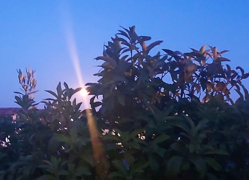 Pleine lune