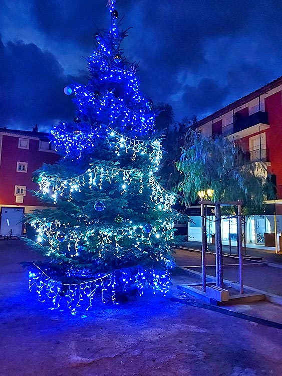 Le sapin place du March  Port Grimaud